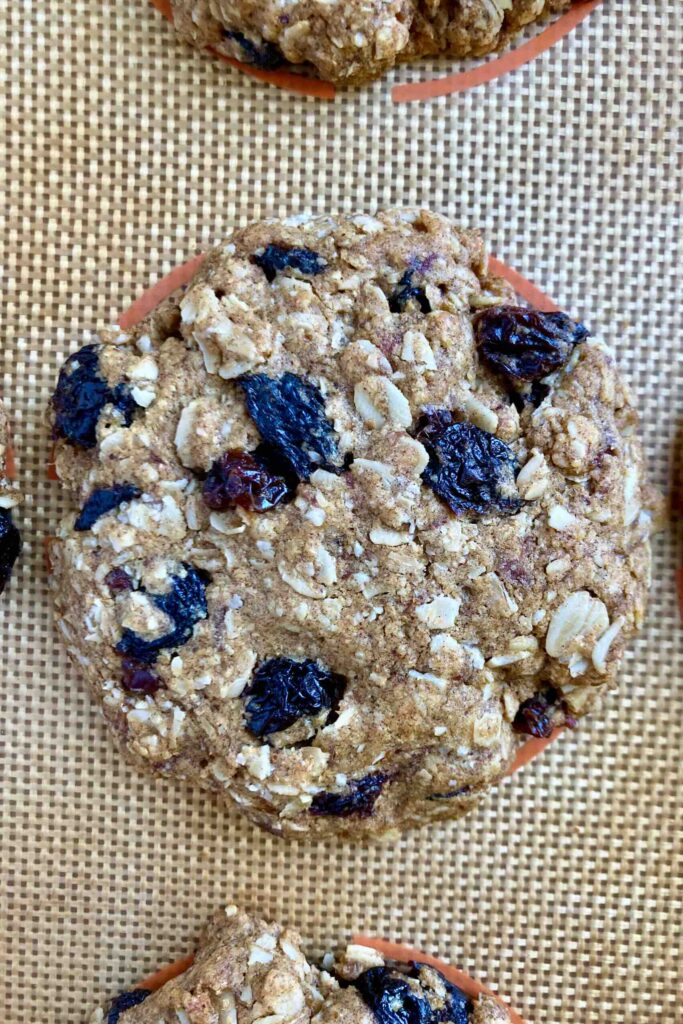 close up of one date sweetened oatmeal cookie