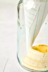 DIY Fruit Fly Trap without Apple Cider Vinegar