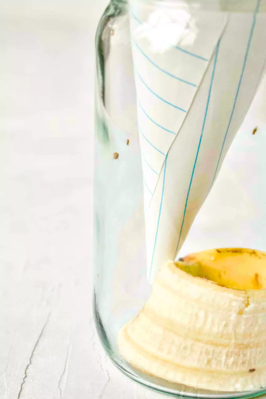 DIY Fruit Fly Trap without Apple Cider Vinegar