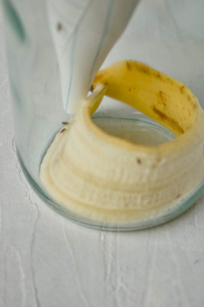 How to Trap Fruit Flies