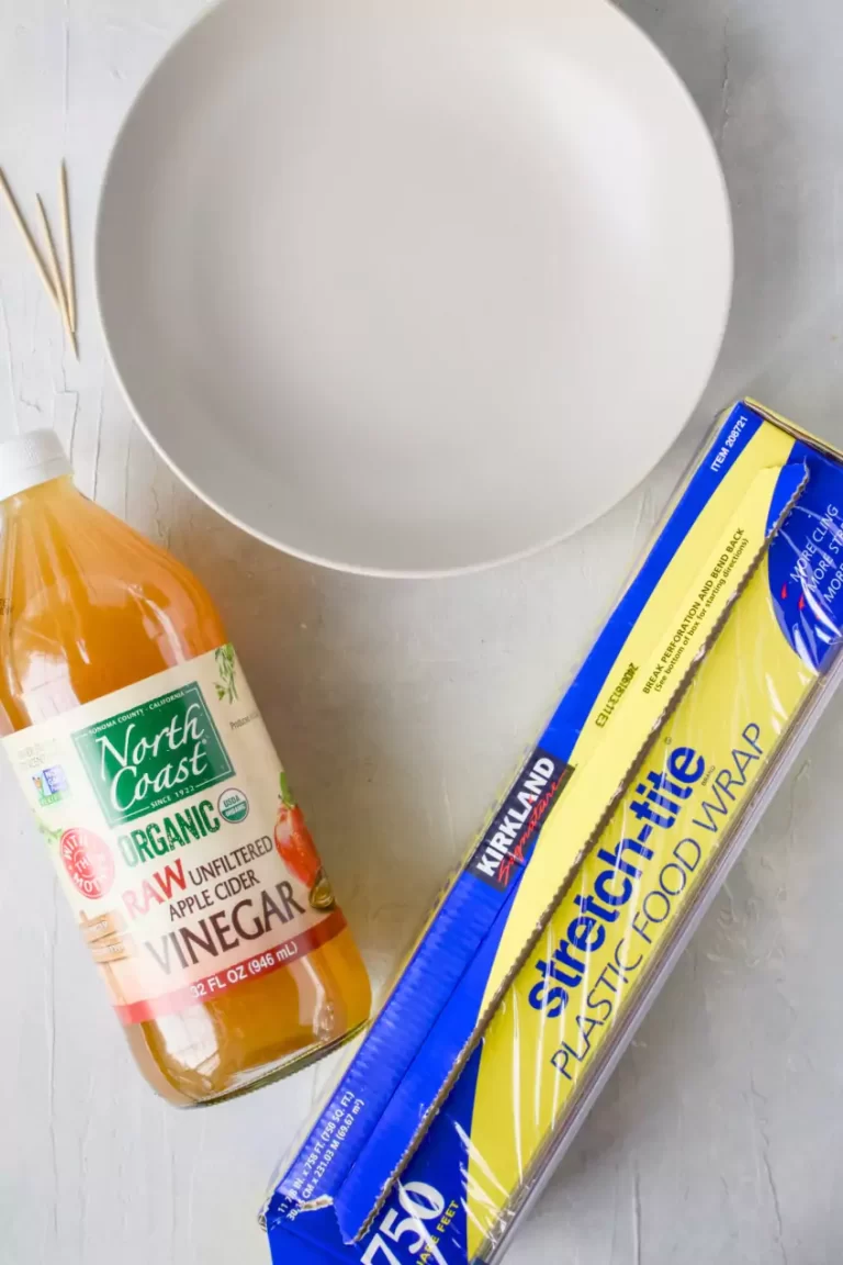 Homemade Fruit Fly Trap with Apple Cider Vinegar