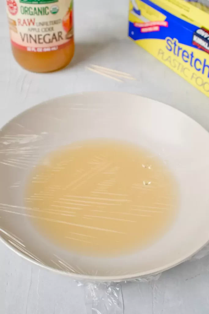 Homemade Fruit Fly Trap with Apple Cider Vinegar