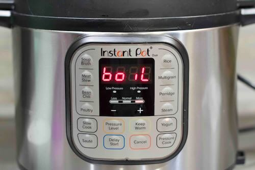 How to Make Instant Pot Yogurt