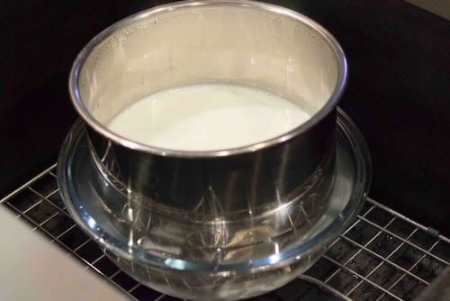 How to Make Instant Pot Yogurt