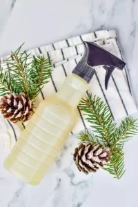 Homemade Pine Sol