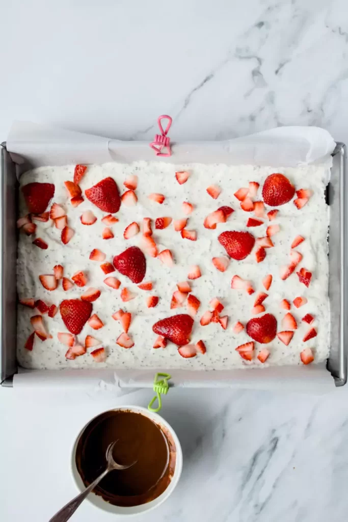 Frozen Chocolate Strawberry Yogurt Bark