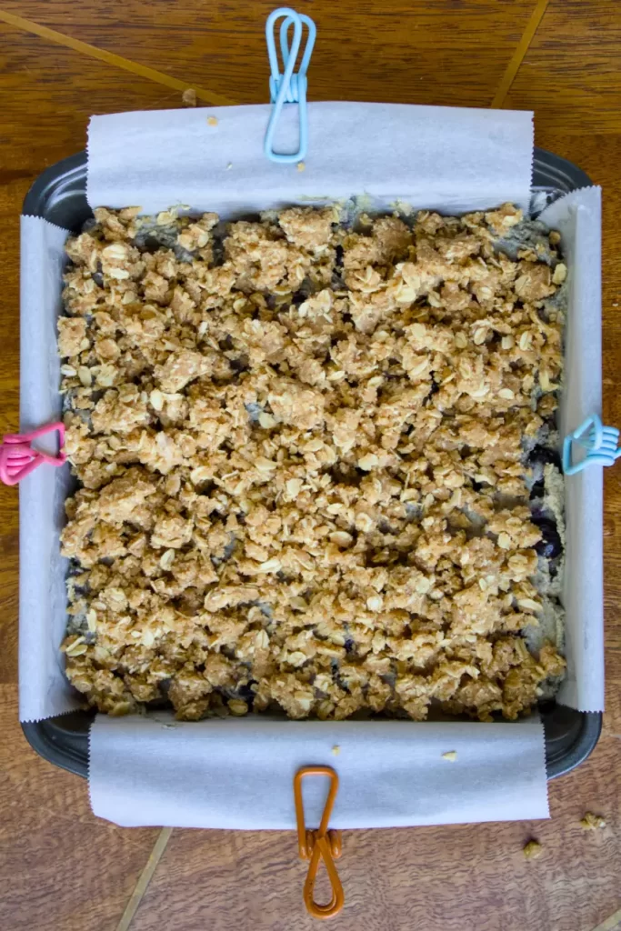 Whole Wheat Blueberry Coffee Cake