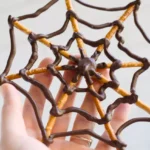 Pretzel Stick Spider Webs